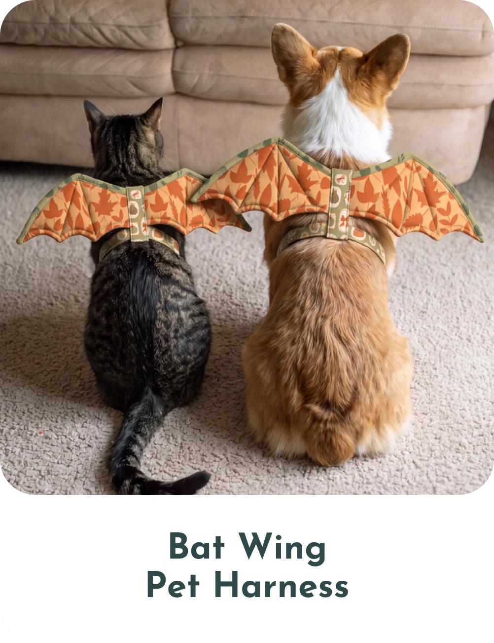 Bat Wing Pet Harness
