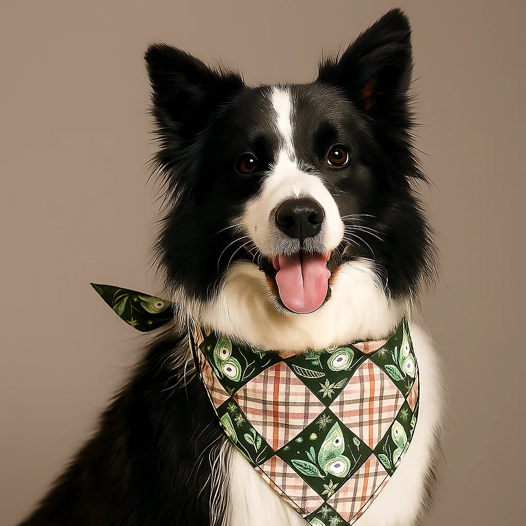 A black and white dog with pointy ears wears a green and beige bandana made using the Dog Bandana Downloadable PDF Quilt Pattern while sitting in front of a plain background.