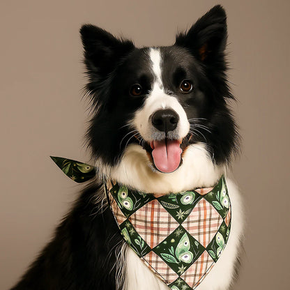 A black and white dog with pointy ears wears a green and beige bandana made using the Dog Bandana Downloadable PDF Quilt Pattern while sitting in front of a plain background.