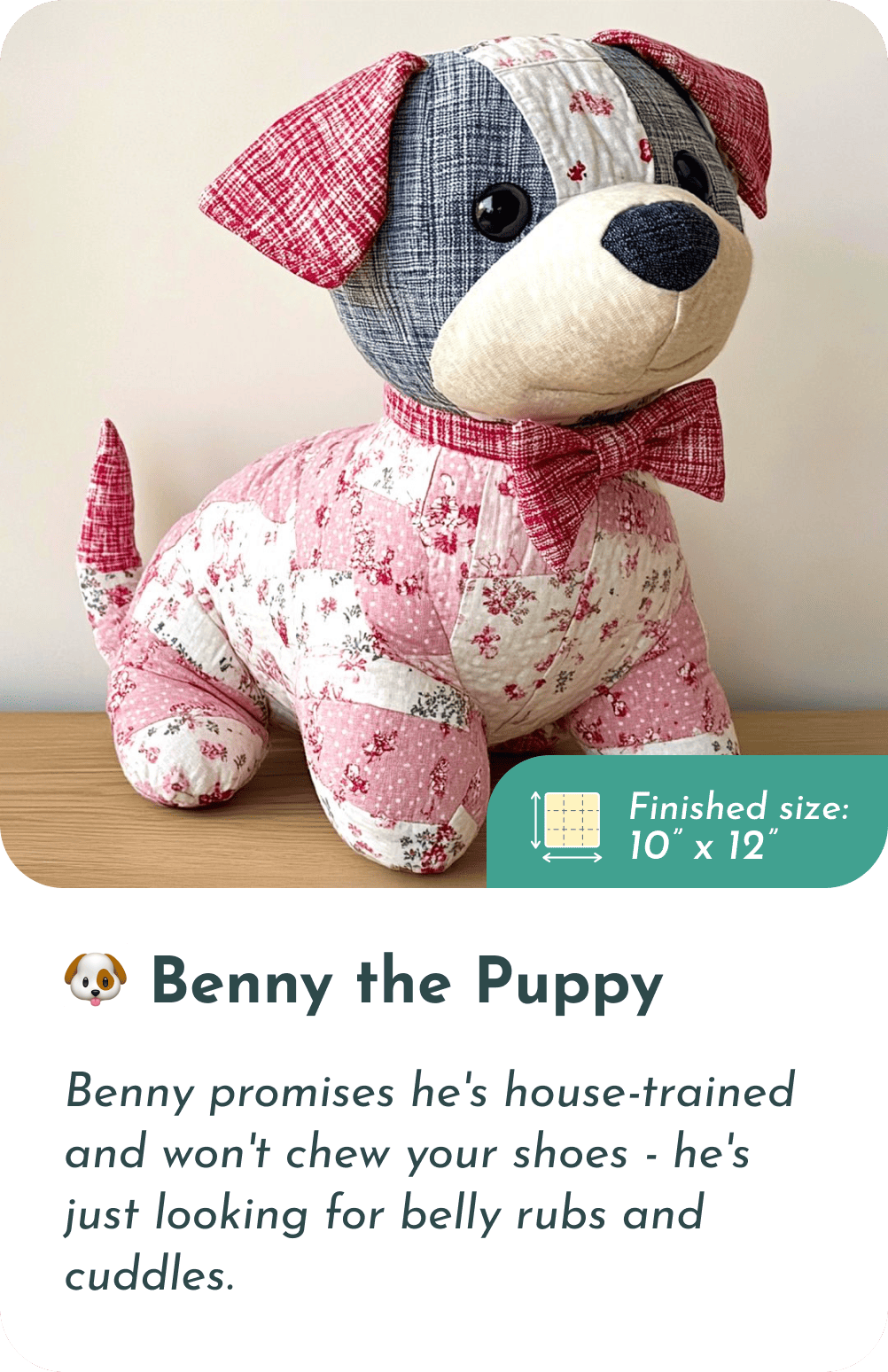 🐢 Timmy the Turtle